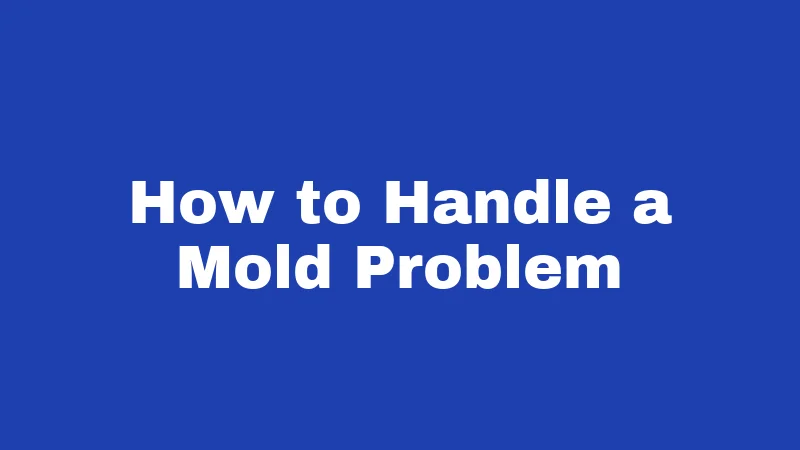 Mold Laws in Oregon (2026): Your Rights, Their Rules 4 How to Handle a Mold Problem