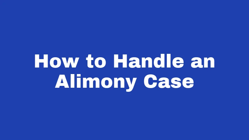 How to Handle an Alimony Case