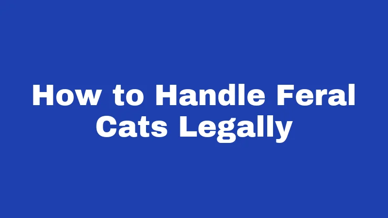 Feral Cat Laws in Alabama (2026): Rules Every Resident Should Know 5 How to Handle Feral Cats Legally