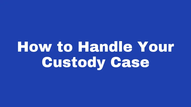 How to Handle Your Custody Case