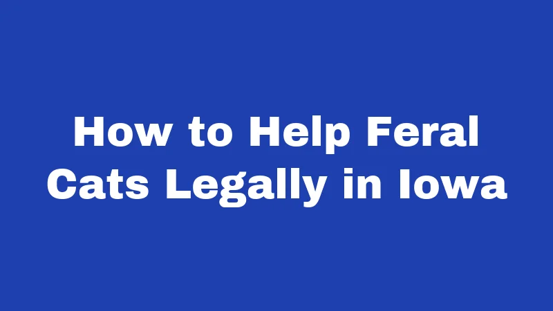How to Help Feral Cats Legally in Iowa