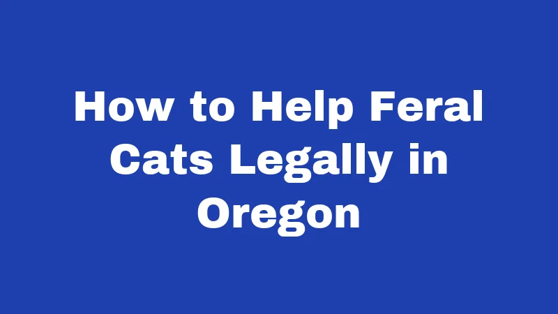 How to Help Feral Cats Legally in Oregon