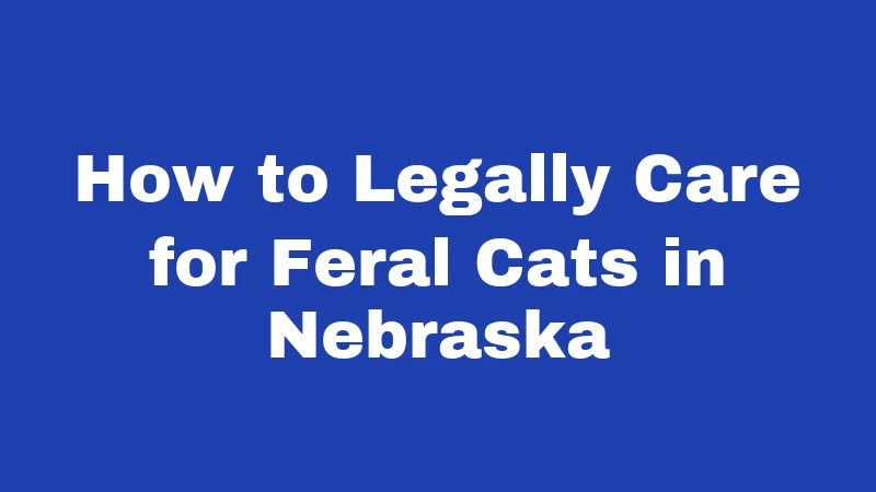 How to Legally Care for Feral Cats in Nebraska