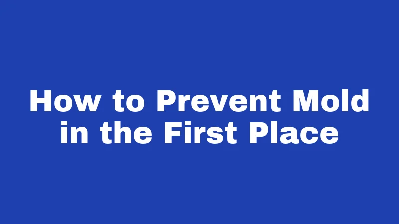 How to Prevent Mold in the First Place
