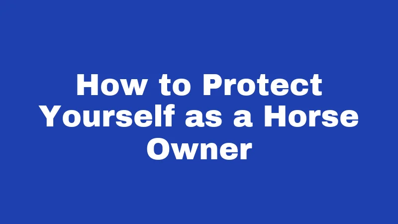 How to Protect Yourself as a Horse Owner