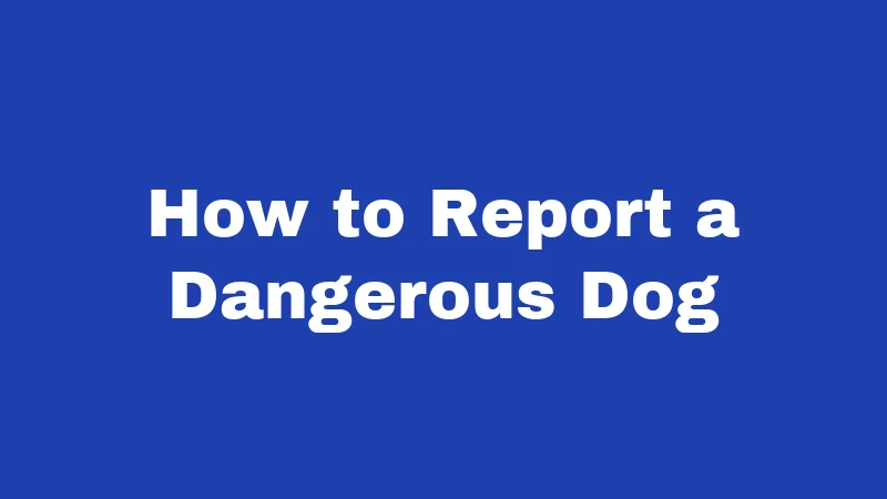 Dog Laws in Oregon (2026): Rules Every Owner Must Follow 6 How to Report a Dangerous Dog
