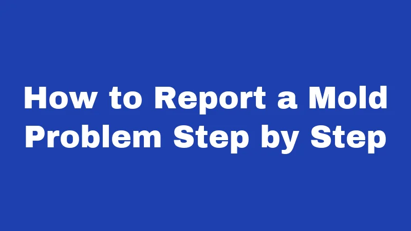 How to Report a Mold Problem Step by Step