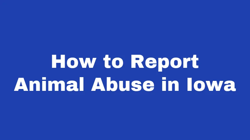 How to Report Animal Abuse in Iowa