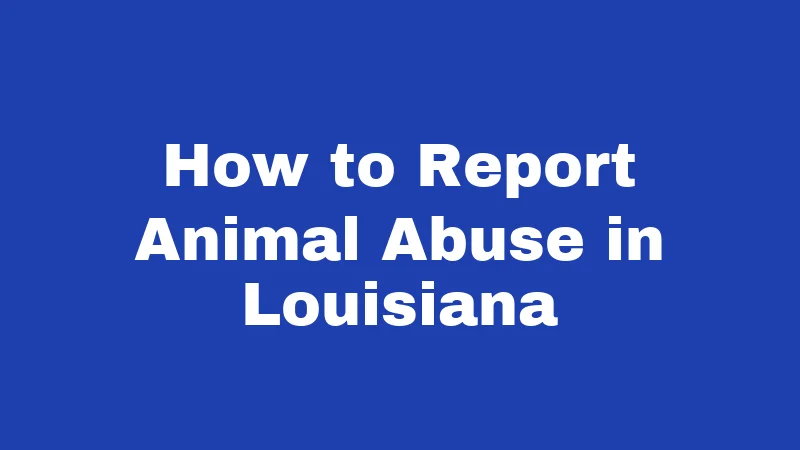 How to Report Animal Abuse in Louisiana