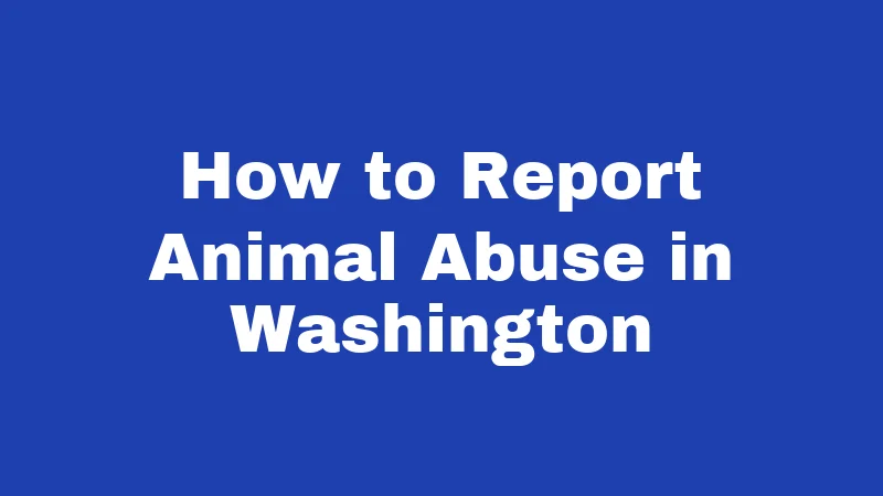 How to Report Animal Abuse in Washington