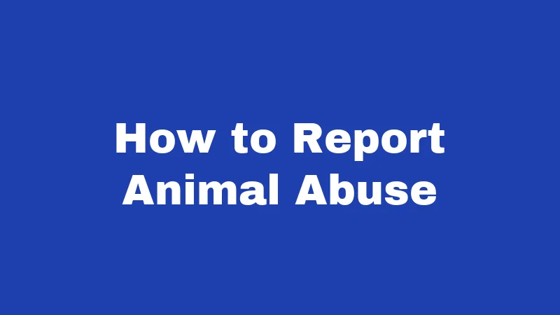 Animal Abuse Laws in Nebraska (2026): When Neglect Turns Into a Felony 3 How to Report Animal Abuse