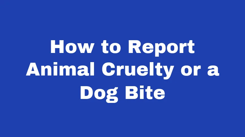 Dog Laws in South Carolina (2026): Rules Every Owner Must Follow 4 How to Report Animal Cruelty or a Dog Bite