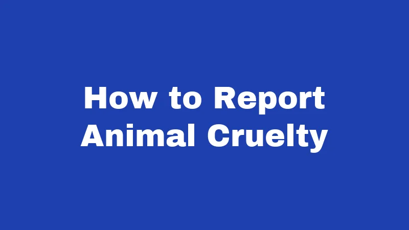 Dog Laws in Arkansas (2026): The Owner's Plain Guide 5 How to Report Animal Cruelty