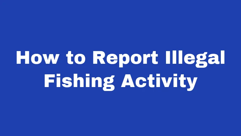 Fishing Laws in Nevada (2026): Rules Every Angler Must Know 5 How to Report Illegal Fishing Activity