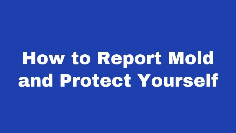 Mold Laws in Idaho (2026): The Rules Landlords Hope You Never Learn 3 How to Report Mold and Protect Yourself