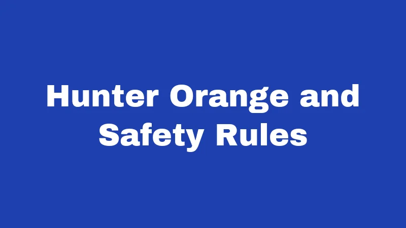 Hunting Laws in Idaho (2026): The Draw System Changes Everything 2 Hunter Orange and Safety Rules