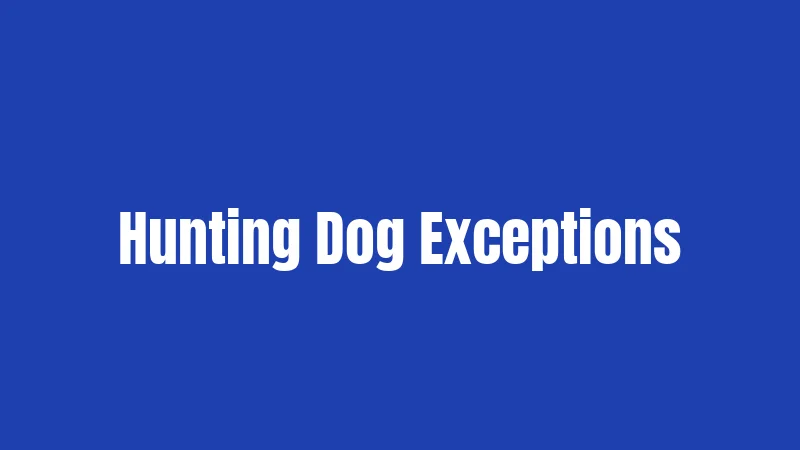 Hunting Dog Exceptions