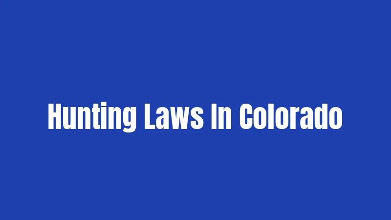 Hunting Laws In Colorado