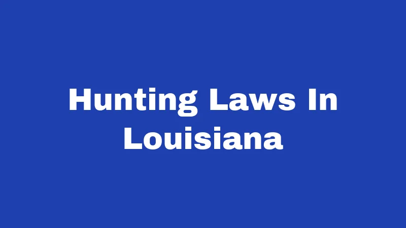 Hunting Laws in Louisiana (2026): Rules Every Hunter Must Follow 414 Hunting Laws In Louisiana