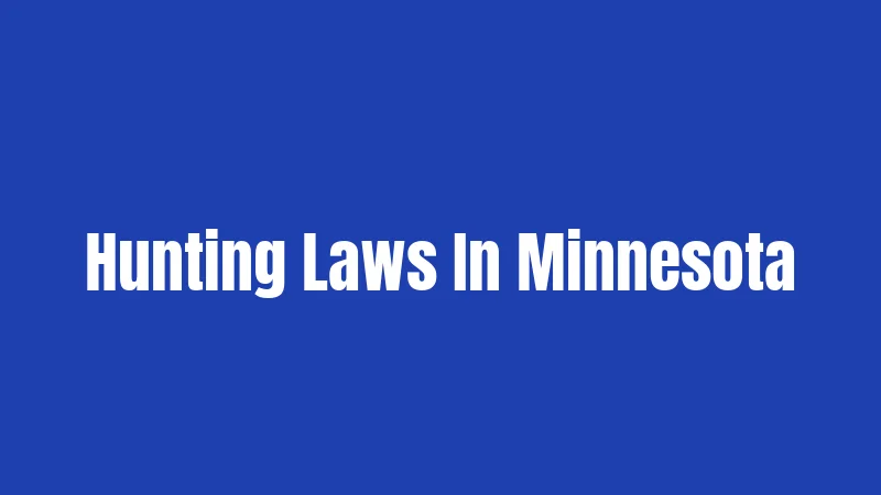 Hunting Laws In Minnesota