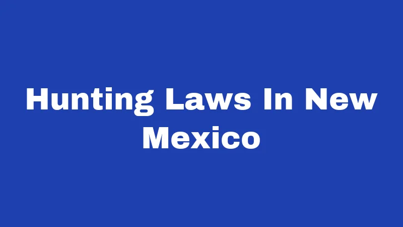 Hunting Laws In New Mexico