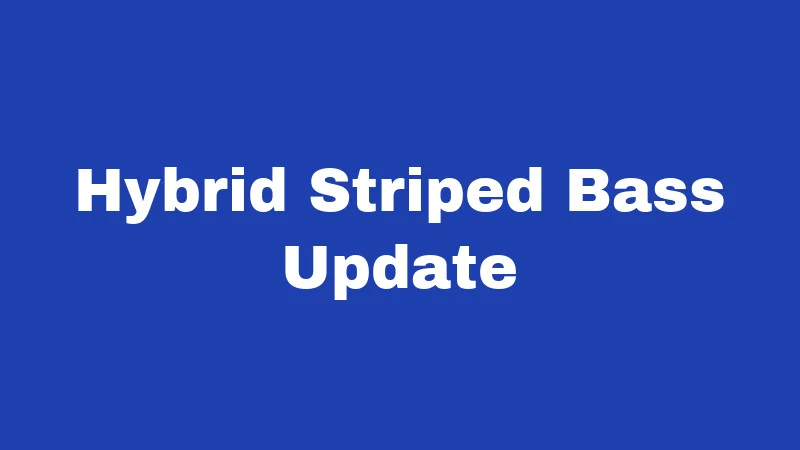 Fishing Laws in Oklahoma (2026): Rules Every Angler Must Know 6 Hybrid Striped Bass Update