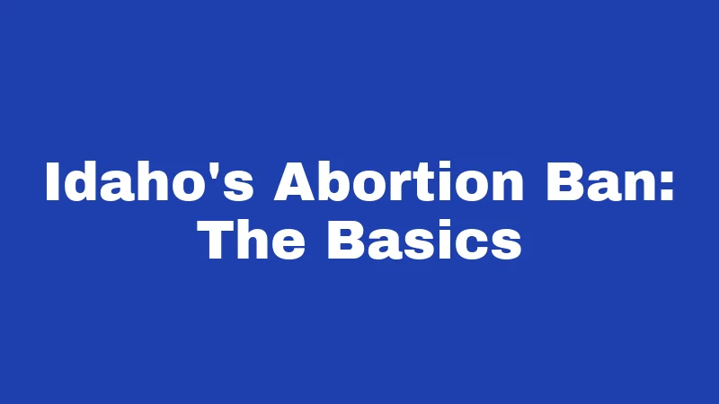 Idaho's Abortion Ban: The Basics
