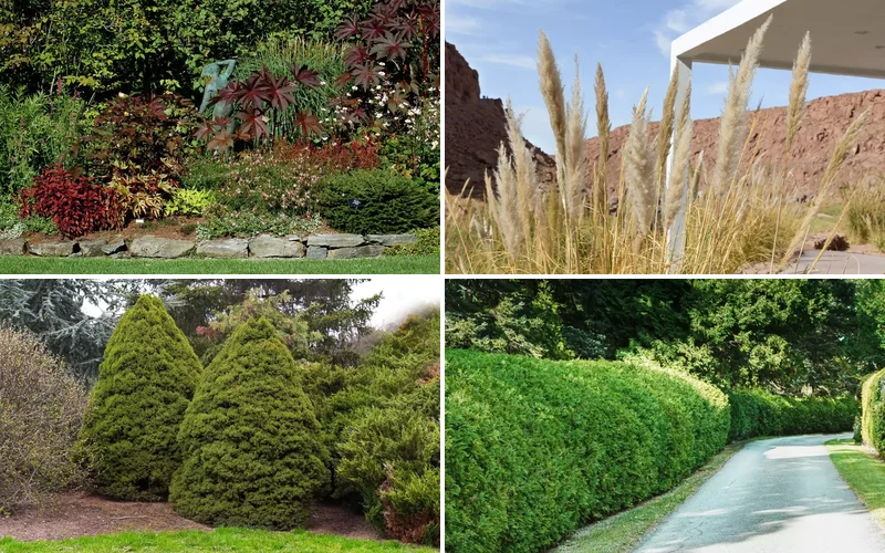 6 Creative Ways to Design Your Property Boundaries ideas for landscaping property lines featured