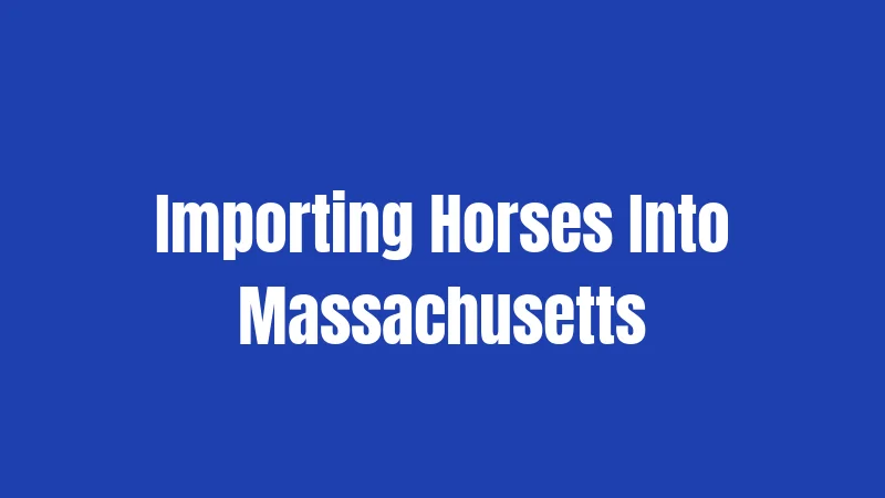 Importing Horses Into Massachusetts