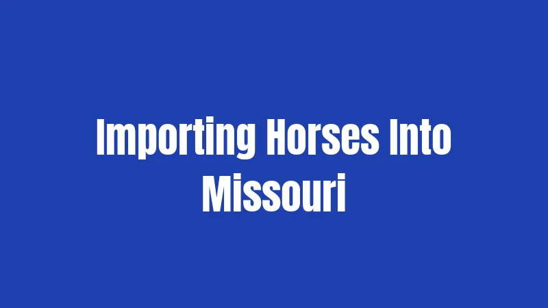 Horse Laws in Missouri (2026): Rules Every Owner Must Ride By 3 Importing Horses Into Missouri