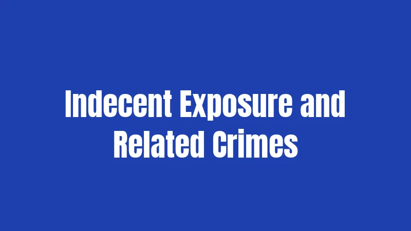 Texas Prostitution Laws (2026): What Can Get You Arrested 3 Indecent Exposure and Related Crimes