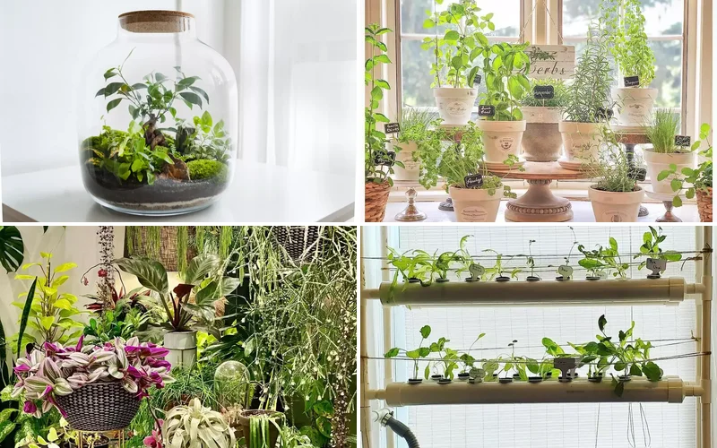 16 Beautiful Ways to Create Your Dream Indoor Garden Space