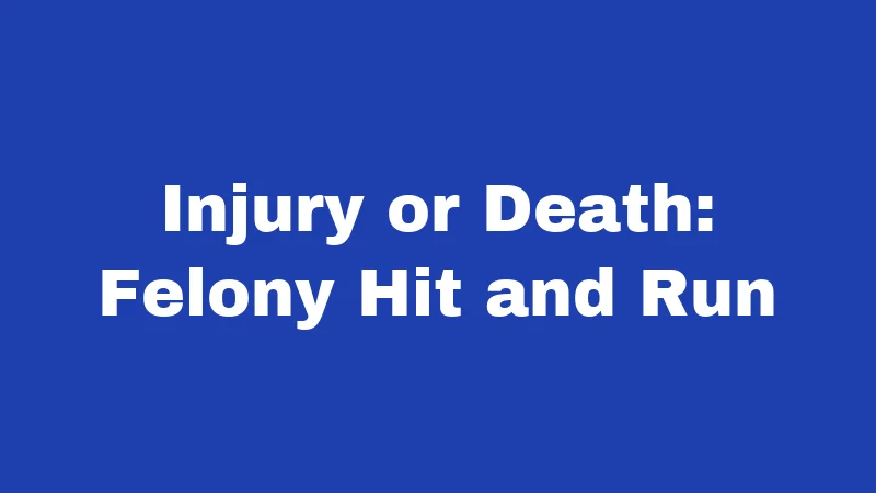 Injury or Death: Felony Hit and Run