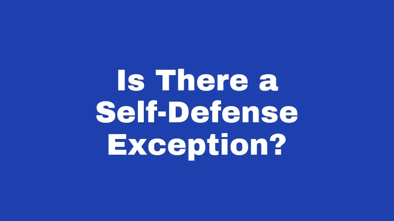 Is There a Self-Defense Exception?