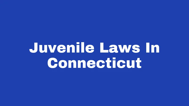 Juvenile Laws in Connecticut (2026): What Every Family Should Know 276 Juvenile Laws In Connecticut