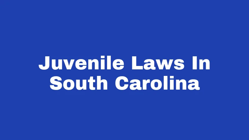 Juvenile Laws in South Carolina (2026): Your Guide to the Basics 369 Juvenile Laws In South Carolina