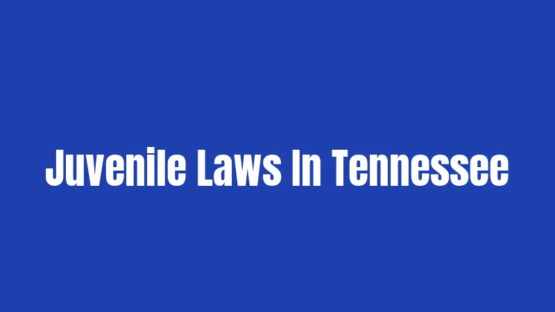 Juvenile Laws In Tennessee