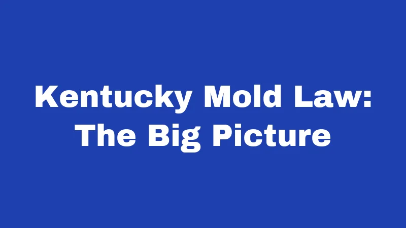 Kentucky Mold Law: The Big Picture