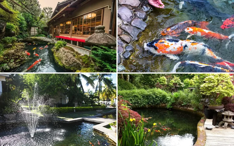 24 Beautiful Koi Pond Designs to Transform Your Outdoor Space koi pond design ideas featured