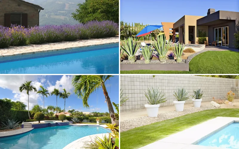 16 Pool Landscaping Ideas That Transform Your Area landscaping ideas for pool areas featured