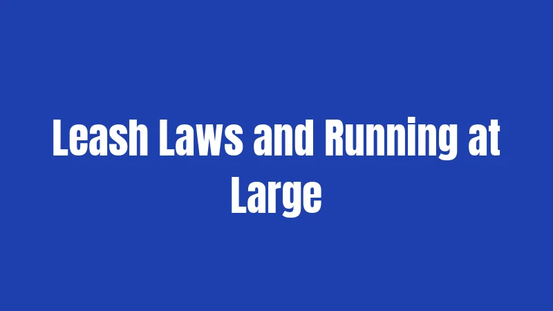 Leash Laws and Running at Large