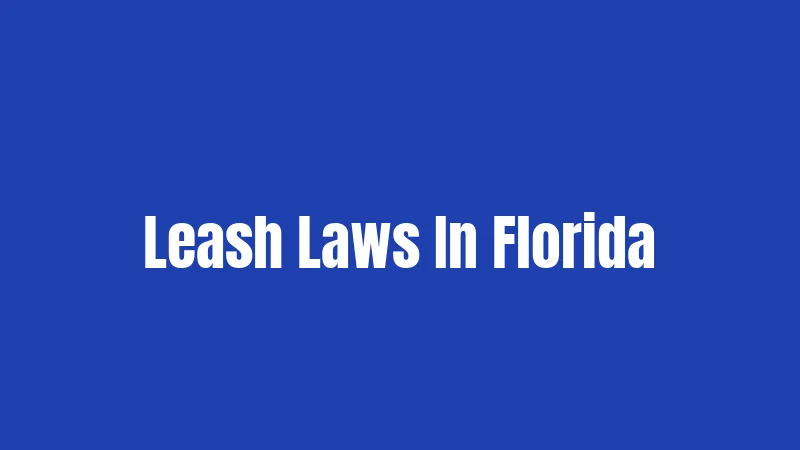 Leash Laws In Florida