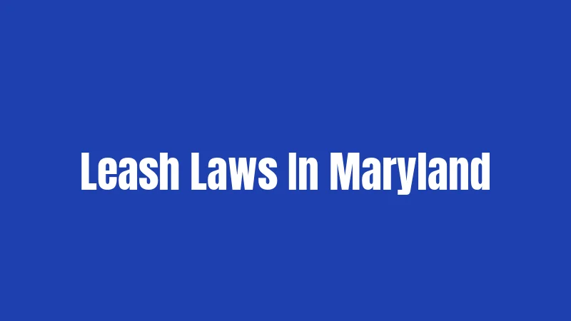 Leash Laws In Maryland