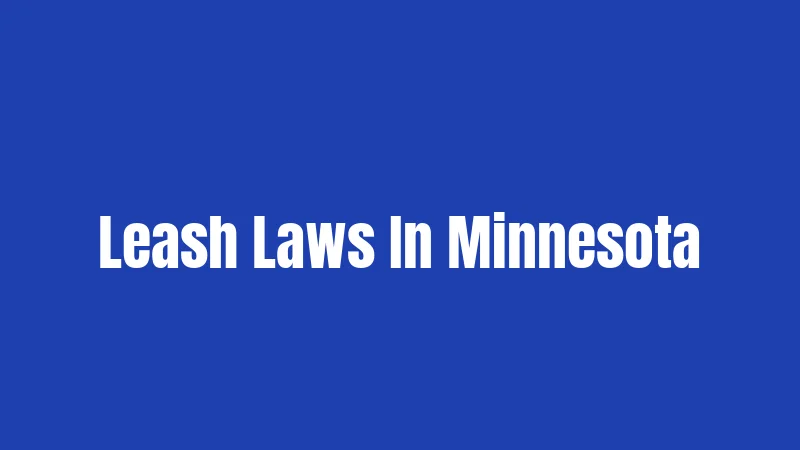 Leash Laws In Minnesota