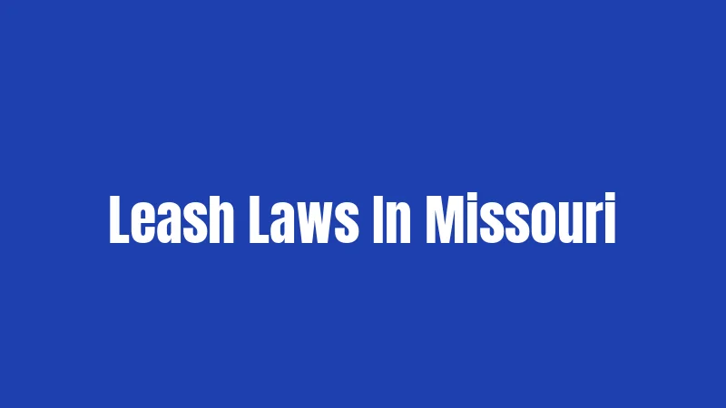 Leash Laws In Missouri