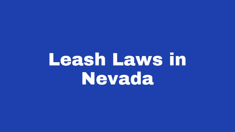 Dog Laws in Nevada (2026): Rules Every Owner Must Know 2 Leash Laws in Nevada