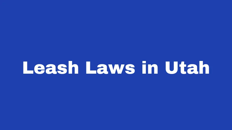 Dog Laws in Utah (2026): Rules Every Owner Must Know 2 Leash Laws in Utah