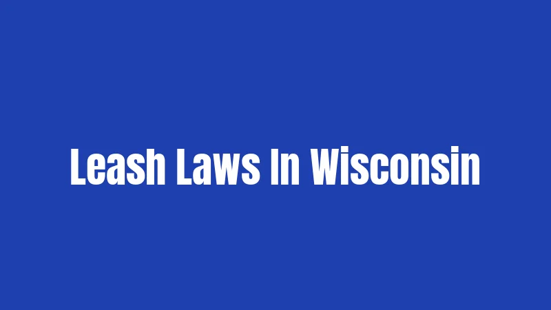 Leash Laws In Wisconsin