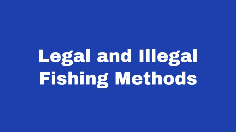Fishing Laws in Oklahoma (2026): Rules Every Angler Must Know 4 Legal and Illegal Fishing Methods