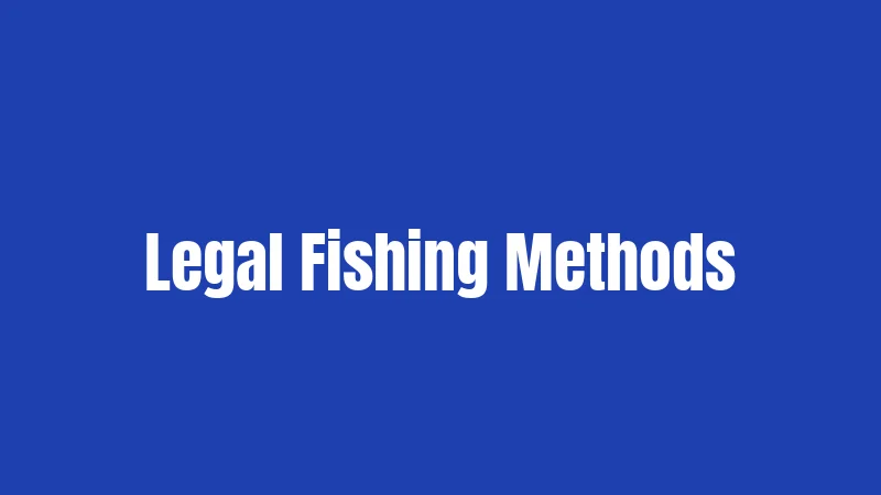 Legal Fishing Methods